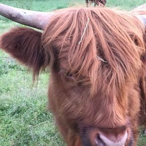 Meet your Posher, Asako